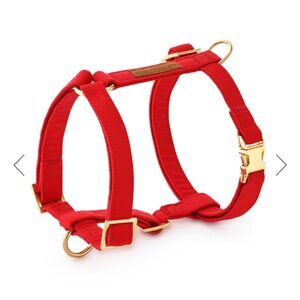 The Foggy Dog Vibrant Red Harness with Gold Accents